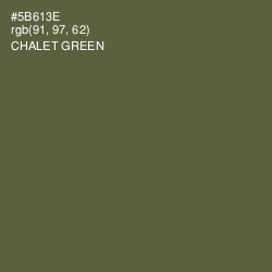#5B613E - Chalet Green Color Image